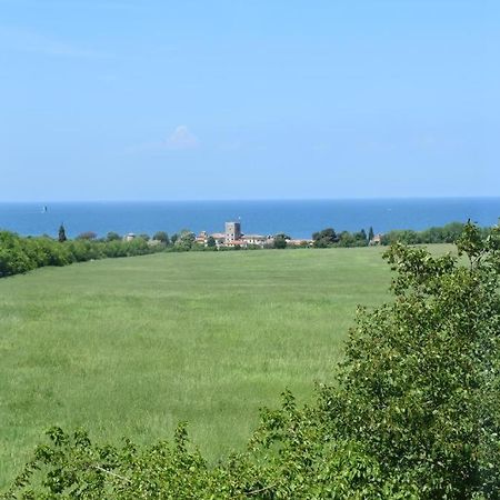 Apartmani Ritosa Novigrad  Zewnętrze zdjęcie