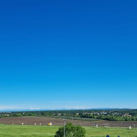 Apartmani Ritosa Novigrad  Zewnętrze zdjęcie
