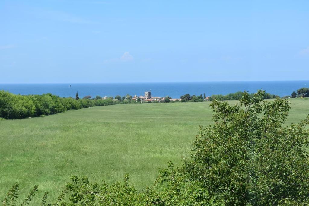 Apartmani Ritosa Novigrad  Zewnętrze zdjęcie